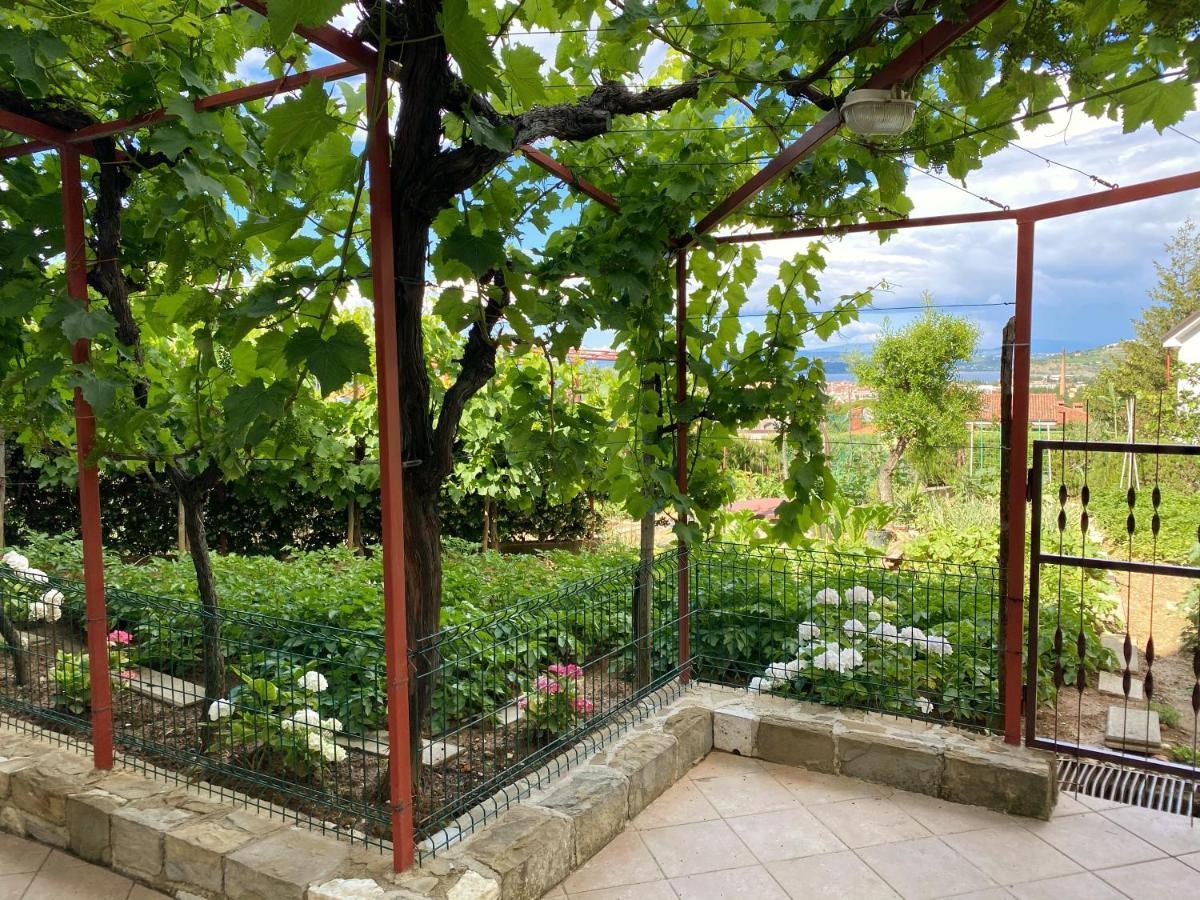 Apartment Gregoric Izola Esterno foto